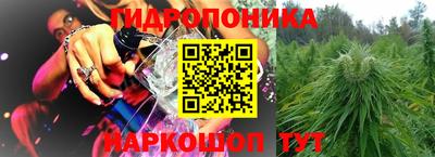 эйфоретик Гусь-Хрустальный