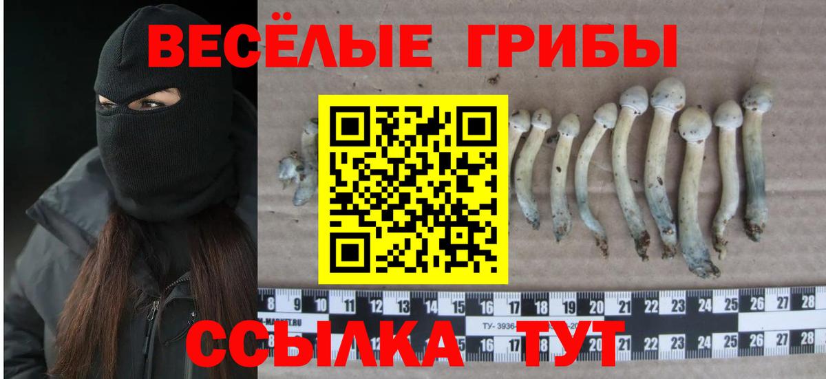 Галлюциногенные грибы Psilocybine cubensis Лангепас
